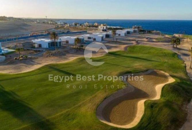 66426948 - Property Image 2