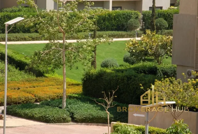 113258300 - صورة العقار 2
