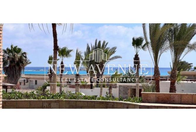 58241194 - Property Main Image