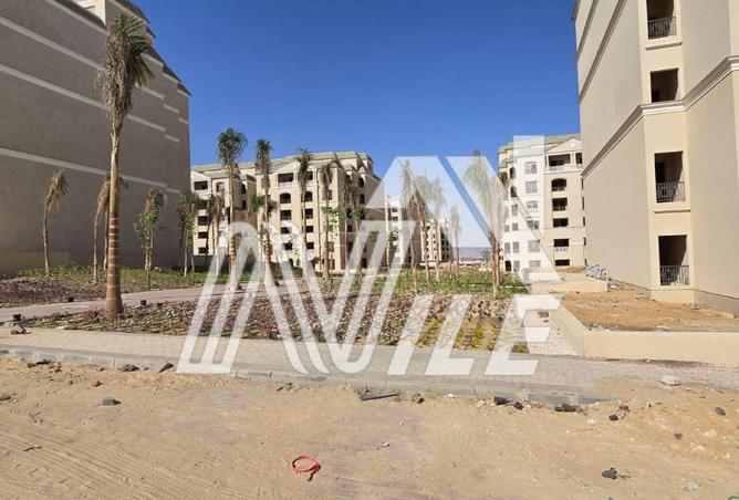 66434455 - صورة العقار 3