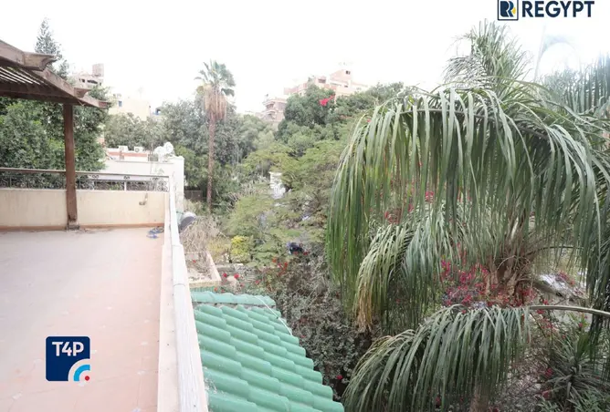 113803621 - Property Image 2