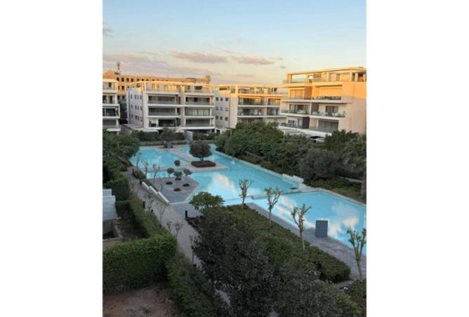 56240496 - Property Image 3