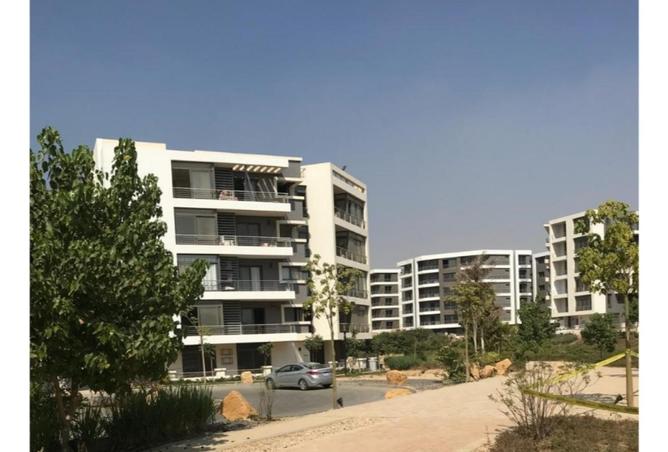 64389544 - Property Image 3