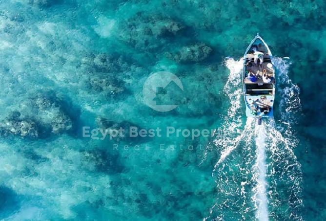 8629084 - صورة العقار 3