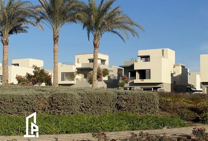 58256424 - صورة العقار 3