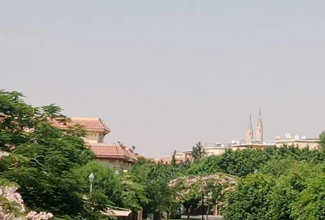115168905 - صورة العقار 2