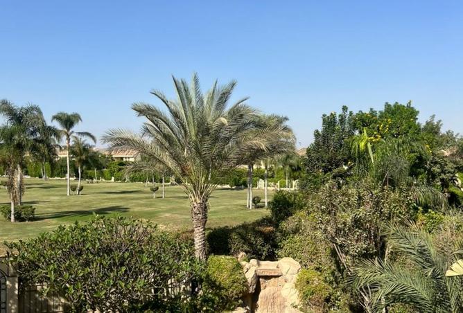 93809469 - الصورة الرئيسية للعقار