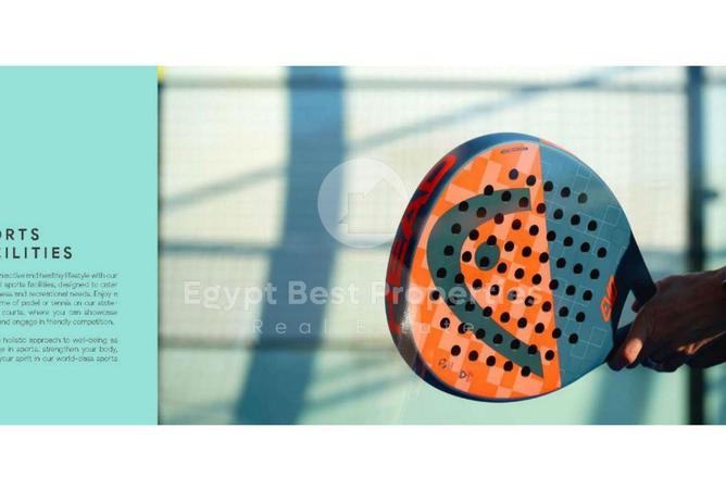 56253678 - Property Image 3