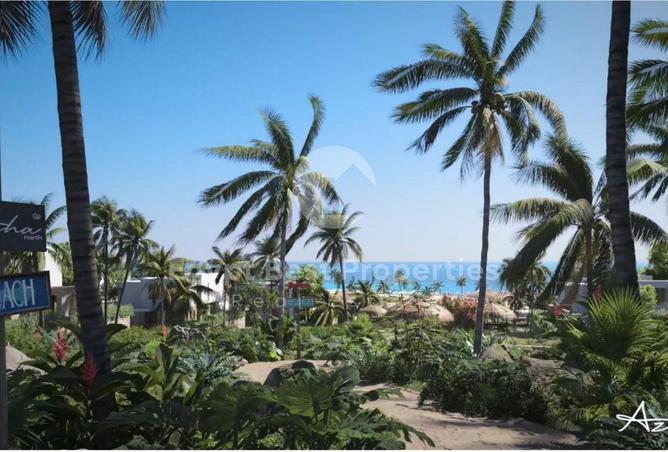 56253678 - Property Main Image