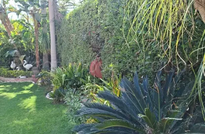 فيلا - 4 غرف نوم - 5 حمامات للبيع في بيلفيلي - كمبوندات الشيخ زايد - الشيخ زايد - الجيزة