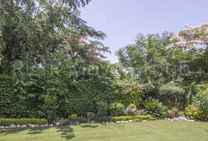 65153980 - الصورة الرئيسية للعقار