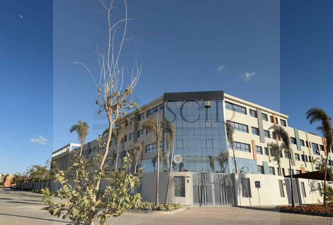 65923250 - صورة العقار 3