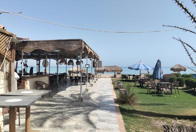 93817609 - صورة العقار 3