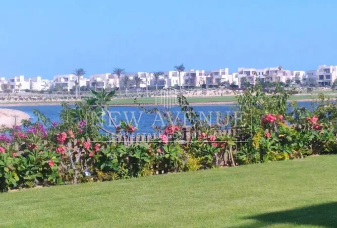 112704628 - صورة العقار 3