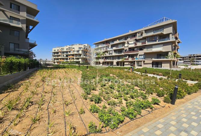 61743210 - Property Image 3