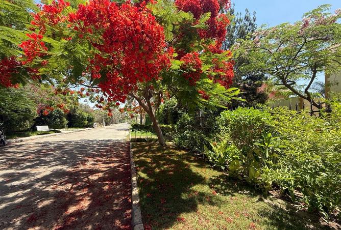 108515124 - Property Image 2