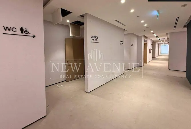 113524067 - Property Image 3