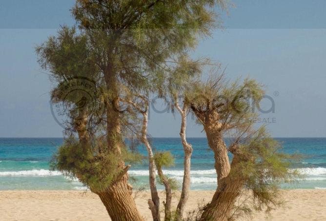 68005448 - صورة العقار 2