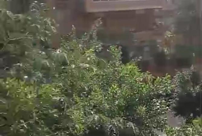 54231177 - الصورة الرئيسية للعقار