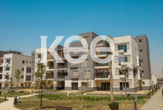 107677742 - Property Image 2