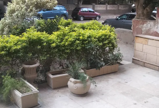 119050856 - Property Image 2