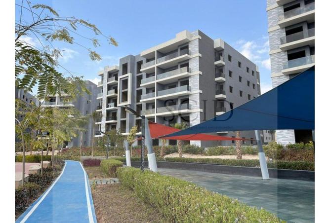 63893031 - Property Image 2