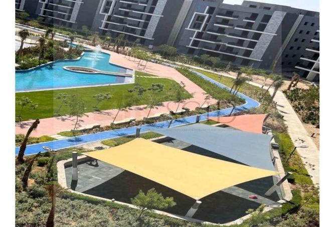 63893031 - Property Image 3