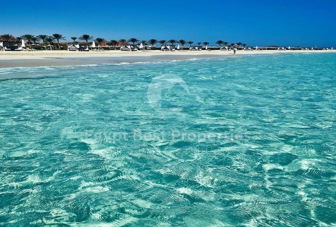 59245955 - صورة العقار 3