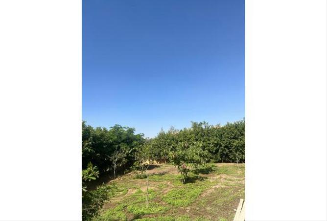 67480984 - صورة العقار 3