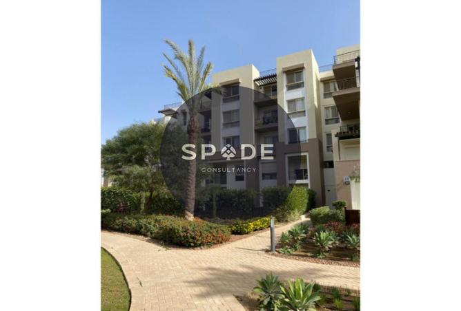 63135878 - Property Image 2