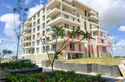 Apartment - 3 Bedrooms - 3 Bathrooms for sale in Palm Hills - Alexandria Compounds - Alexandria