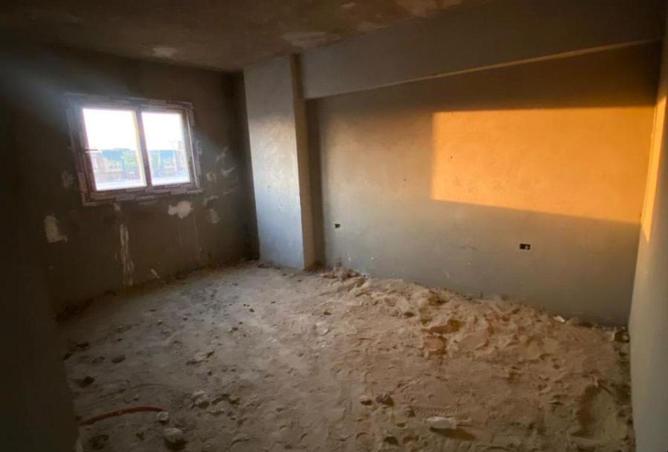 71919278 - Property Image 3