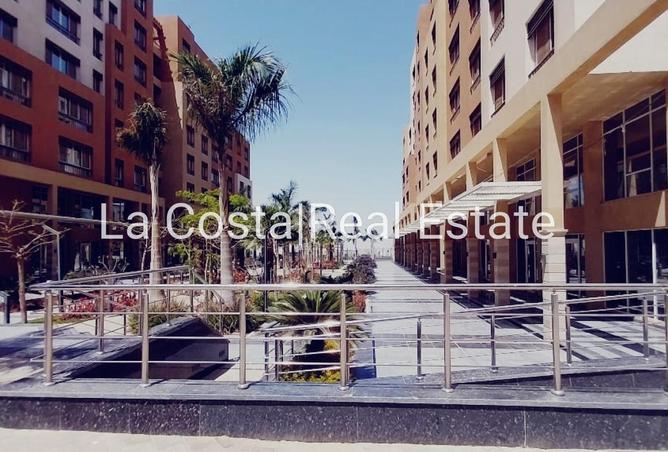 8699022 - Property Image 3