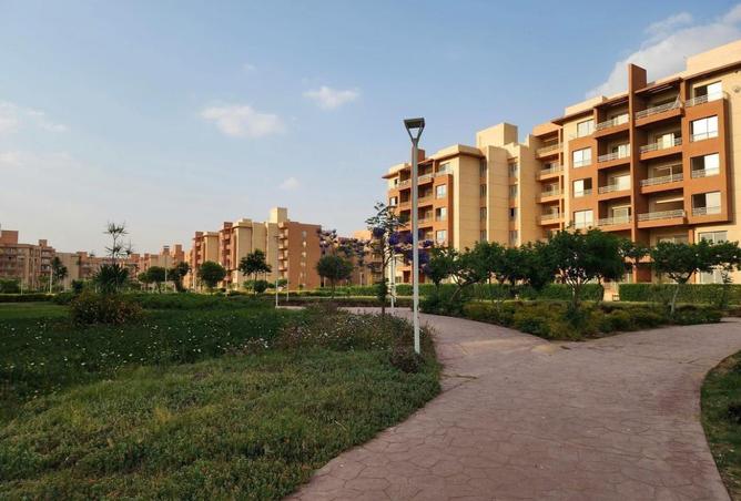 8423665 - صورة العقار 3