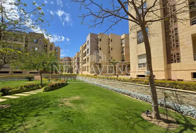 118804762 - Property Image 3