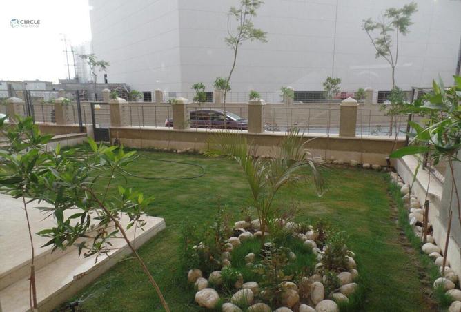 66955136 - صورة العقار 3