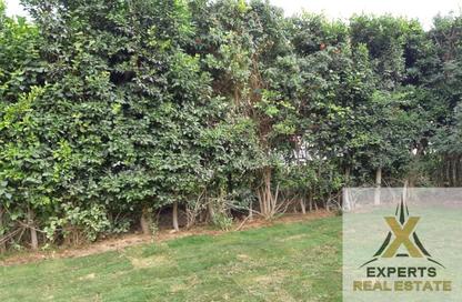 Villa - 4 Bedrooms - 3 Bathrooms for sale in Privado - Madinaty - Cairo Villa - 4 Bedrooms - 3 Bathrooms for sale in Privado - Madinaty - Cairo
