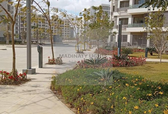 57246972 - صورة العقار 3