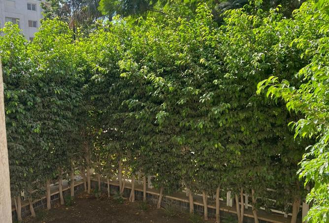 8524960 - Property Image 2