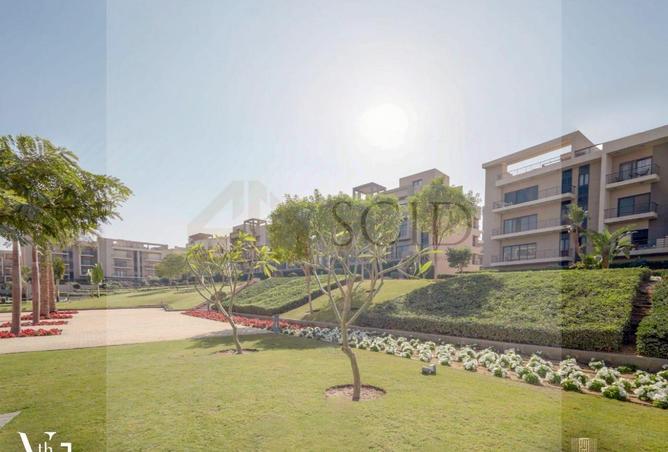 93541516 - Property Image 3