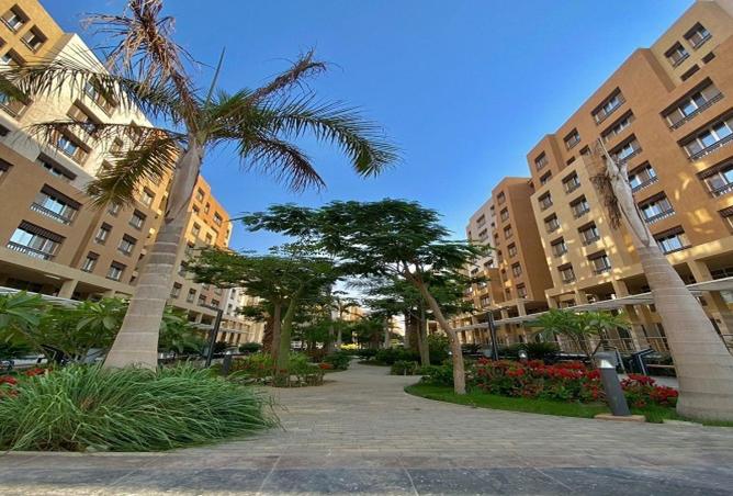 8620717 - Property Image 3