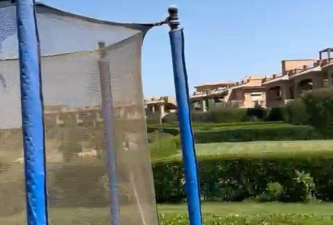 59753223 - Property Image 3