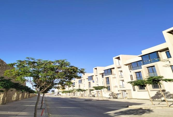 96579256 - صورة العقار 3