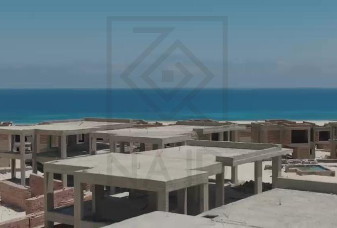101774721 - Property Image 3