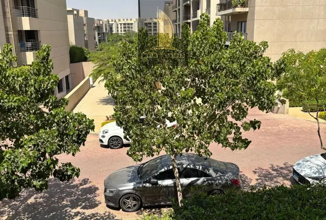 118275808 - صورة العقار 3