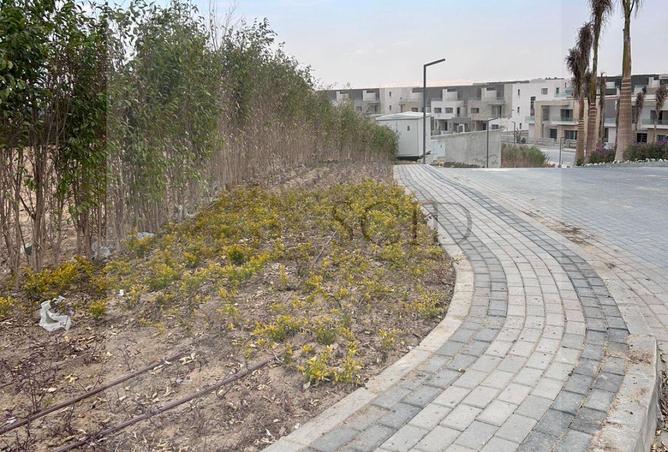 81319207 - صورة العقار 3