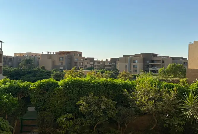 110735935 - Property Image 2