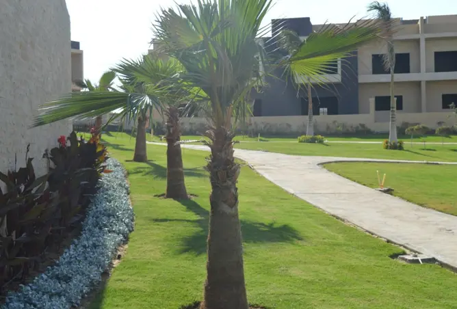 118286961 - صورة العقار 3