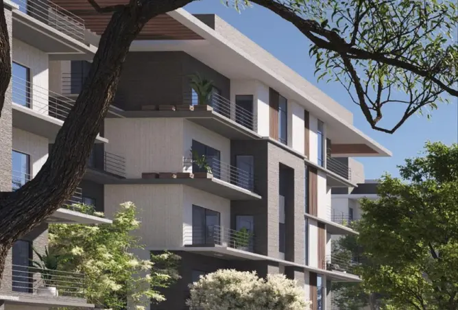 103481603 - Property Image 3
