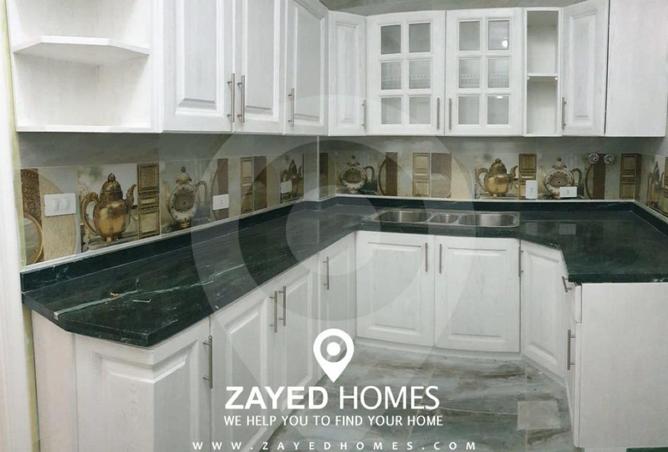 55505953 - Property Image 3